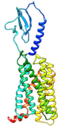 gpcr