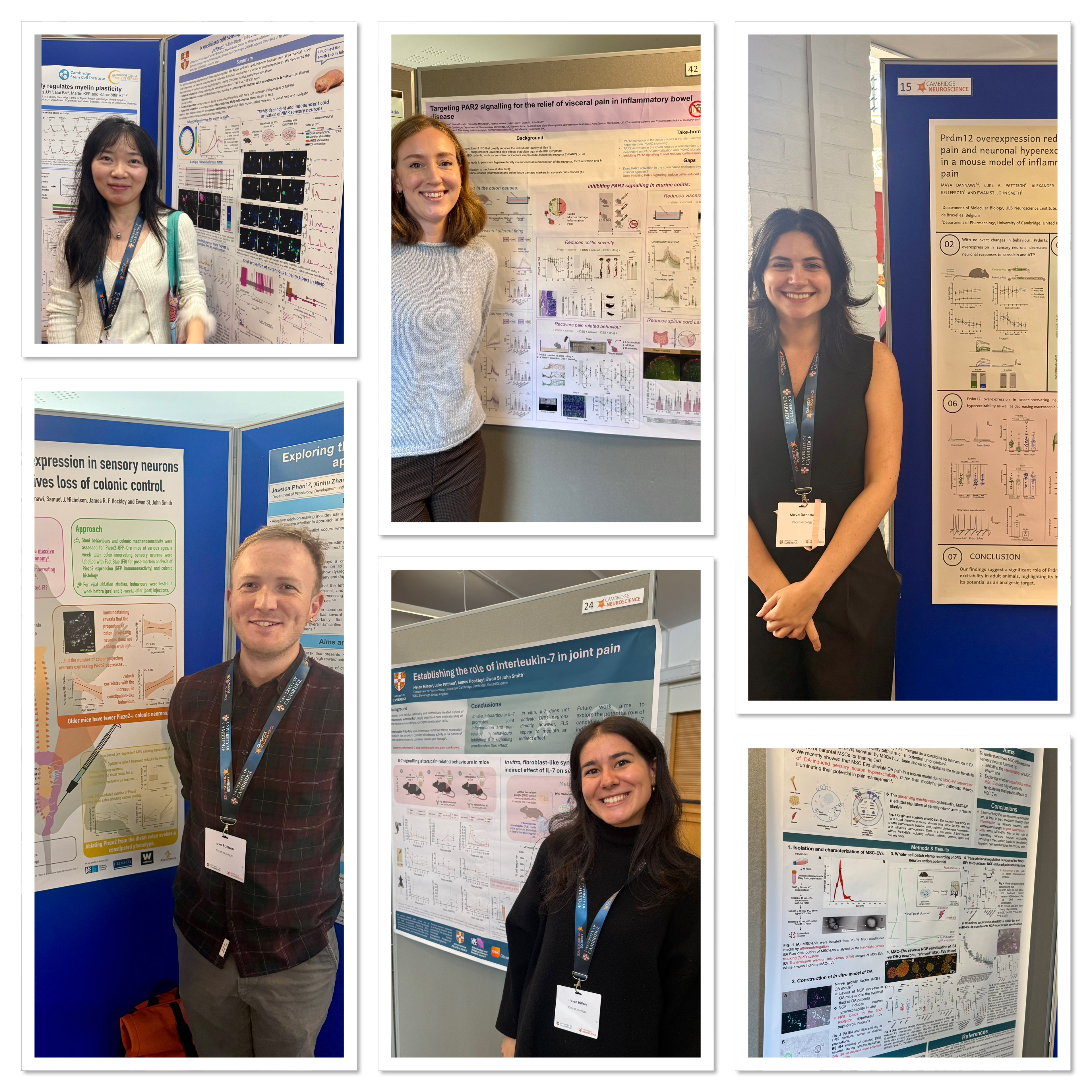 Lab poster presentations