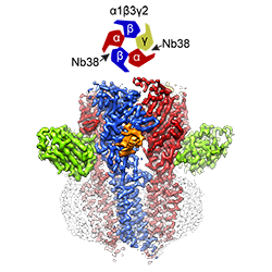 Image of Molecular Therapeutics