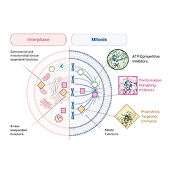 Image of Mechanisms of Drug Action