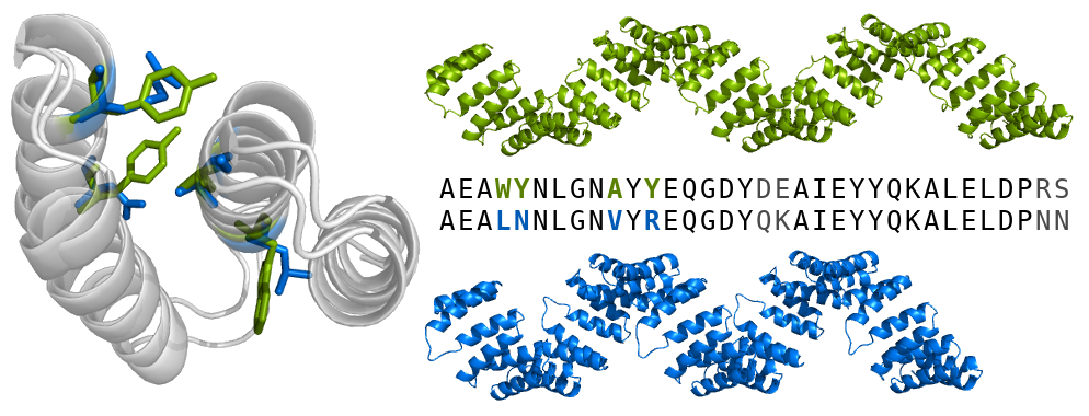 Four amino acid substitutions change the superhelical geometry