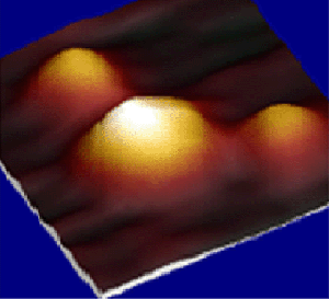 jme decorated receptor2 AFM image showing a P2X2 receptor (large central particle) decorated by two anti-receptor antibodies (smaller particles). The angle between the two antibodies (120°) indicates that the receptor is composed of three subunits. The image is 30 nm square.