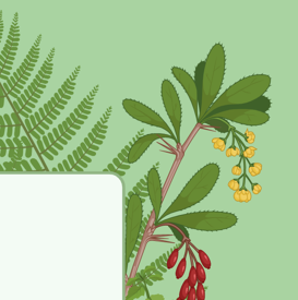 Plant Enthusiast Collab Plant Enthusiast Collab