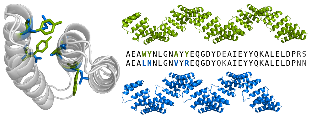 reshaping Four amino acid substitutions change the superhelical geometry