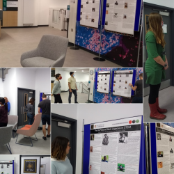 Black History Month in the Department
