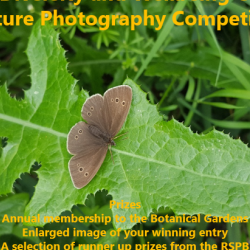 Nature Photography Competition 