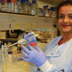 Dr. Himansha Singh