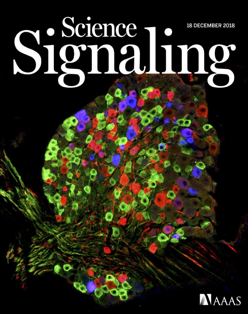 Pain in IBS and a cover image!