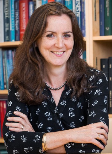 Professor Anne  Willis
