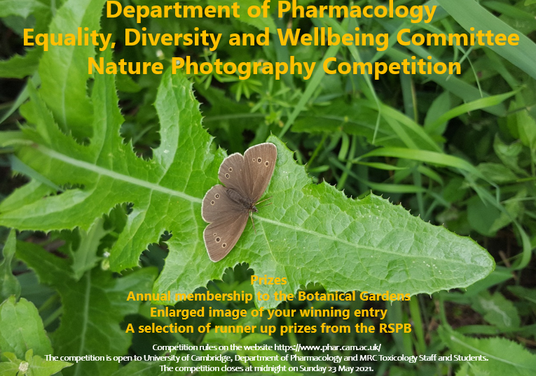 Nature Photography Competition 